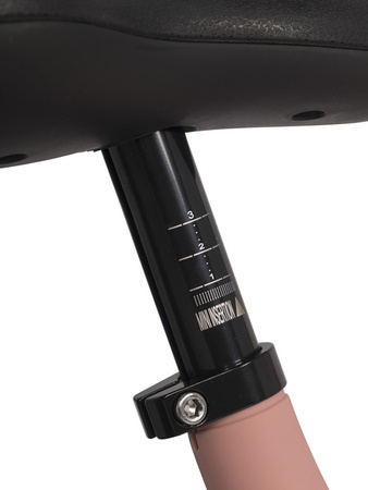 Colibro Ciao Rowerek Biegowy Składany Rose Gold