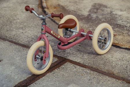 Trybike Pierwszy Rowerek Trójkołowy Dziecięcy Biegowy 2w1 Matowy Różowy