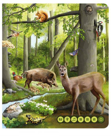 Albi Czytaj Z Albikiem Książka Świat Zwierząt