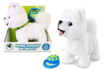 Artyk Piesek Chodzący na Smyczy