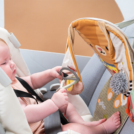 Taf Toys Zabawka do Samochodu Królik