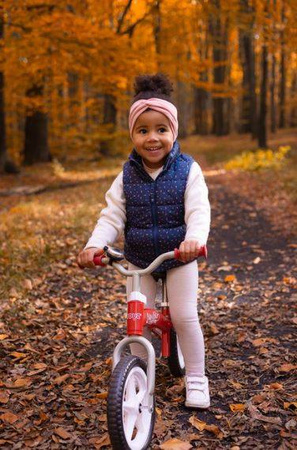 Toyz Brass Rowerek Biegowy Metalowy Red