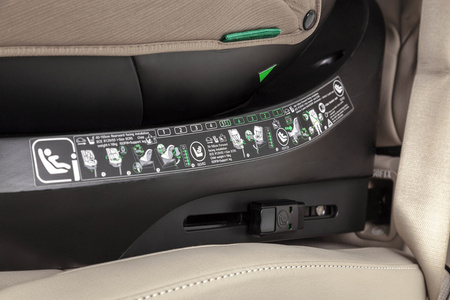 Carrello Octopus CRL-16002 Kindersitz 0-36kg Seashell Grey