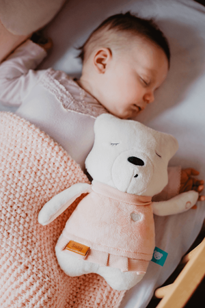 Szumisie Szumiący Miś Suzy Róż z Czujnikiem Snu