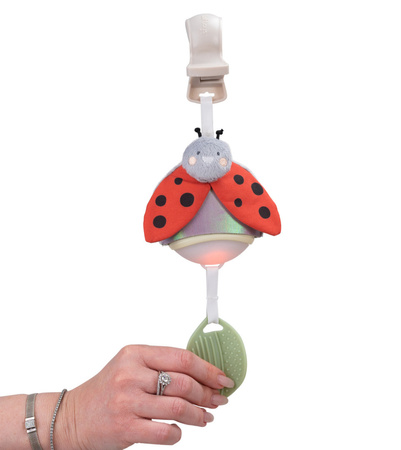 Taf Toys Pozytywka Garden Biedronka – Zabawka Muzyczna z Melodiami i Białym Szumem