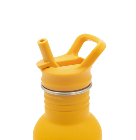 Sassi Butelka na wodę bidon 500 ml Lew