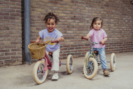 Trybike Pierwszy Rowerek Trójkołowy Dziecięcy Biegowy 2w1 Zielony Matowy