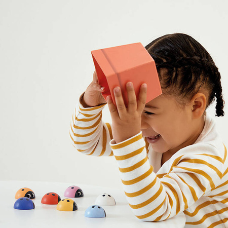 Janod Gra pamięciowa memory Biedronki 2+