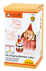 Training2s Zabawka Edukacyjna Mój Tort Urodzinowy