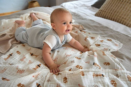 Lassig Muślinowa pieluszka otulacz z biobawełny Zestaw 3 szt. 85x85cm Little Mateys spicy orange