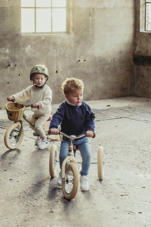 Trybike Pierwszy Rowerek Trójkołowy Dziecięcy Biegowy 2w1 Kremowy Matowy