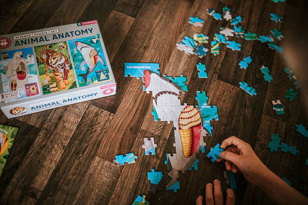 Mudpuppy Puzzle edukacyjne 3w1 Anatomia zwierząt 100 elementów 6+