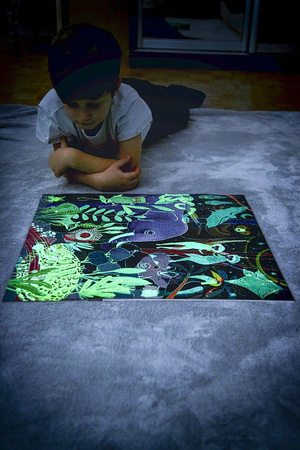 USZKODZONE OPAKOWANIE Mudpuppy Puzzle rodzinne świecące w ciemności Ocean 500 elementów 8+