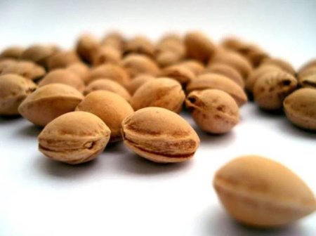 Bocioland Termofor Duży 500g Tęcza BOC0198