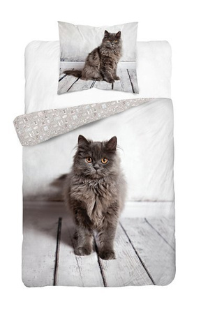 Detexpol Pościel Bawełniana Młodzieżowa 160x200 Brązowy Kotek