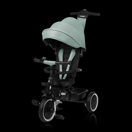 Lionelo Rowerek Trójkołowy Berry Green Forest