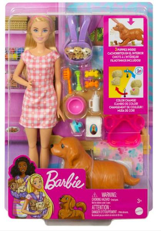 Barbie Narodziny Piesków Zestaw z Lalką HCK75