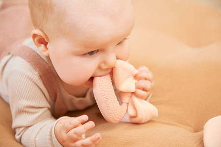 Kaloo Zestaw Prezentowy 3w1 Królik Brzoskwiniowy Kolekcja Lapinoo