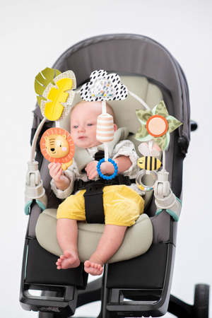 Taf Toys Pałąk Savannah Przygody – Zabawa i Rozwój w Podróży