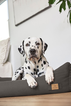 Palopa Fread Legowisko dla Psa Bawełniane Anthracite M