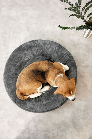 Palopa Donut Okrągłe Legowisko dla Psa Fippa Anthracite S