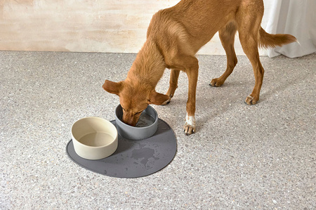 Palopa Mata pod Miskę dla Psa Loua Anthracite