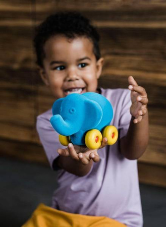 Rubbabu Zestaw 6 sensorycznych Zwierzątek Pojazdów