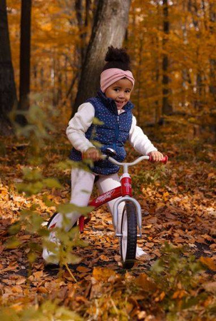 Toyz Brass Rowerek Biegowy Metalowy Red