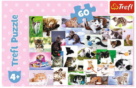 Trefl Puzzle Koci Świat 60 el.