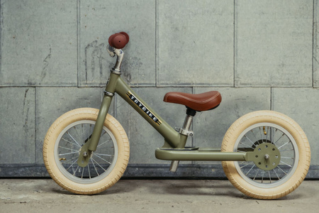 Trybike Pierwszy Rowerek Dziecięcy Biegowy Zielony