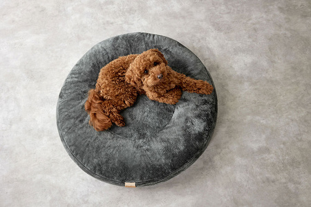 Palopa Donut Okrągłe Legowisko dla Psa Fippa Anthracite S