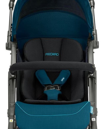 Recaro Easylife Elite 2 Wózek Spacerowy Prime Pale Rose