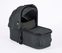 Volcanic Ash / Forest Green