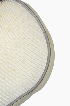 Mast M6x/M5x Gondola Lion