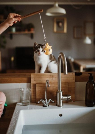 Janod Zestaw Do Wędkowania w Kąpieli 2+