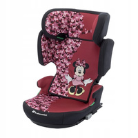 Fun Minnie