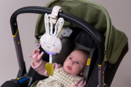 Taf Toys Pozytywka Garden Królik – Zabawka Muzyczna z Melodiami i Białym Szumem