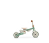 Toyz Faro Rowerek 3 Kołowy Green
