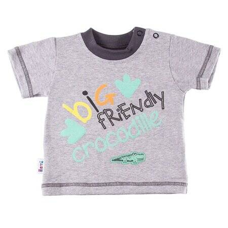 Eevi T-shirt Chłopięcy Sawanna Rozmiar 80 Szary Melanż