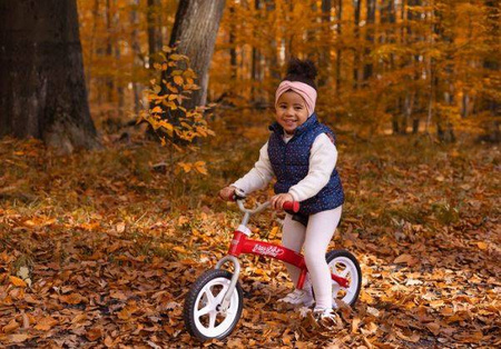 Toyz Brass Rowerek Biegowy Metalowy Red