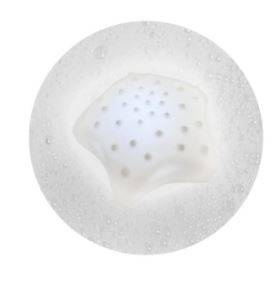 Shnuggle Zabawki do Kąpieli Gwiazdka Wishy