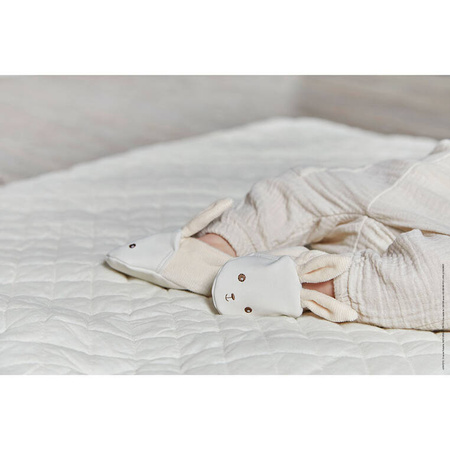 Kaloo Zestaw Prezentowy 3w1 Królik Kremowy Kolekcja Lapinoo