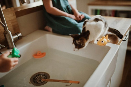 USZKODZONE OPAKOWANIE Zestaw do wędkowania w kąpieli 2+, Janod