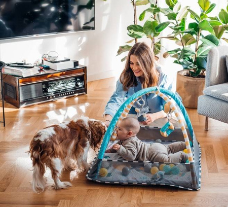 Momi Lammis Mata Edukacyjna