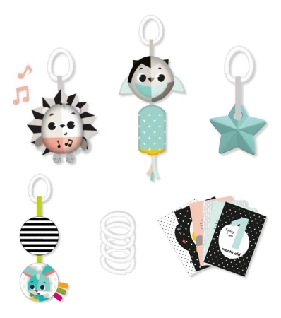 Tiny Love zestaw zabawek z kartami Magiczna Kraina 0m+