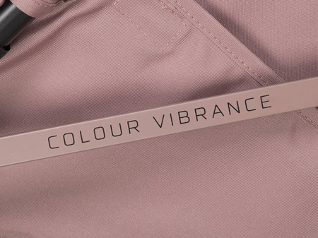 Euro-Cart Ezzo Wózek Spacerowy Rose