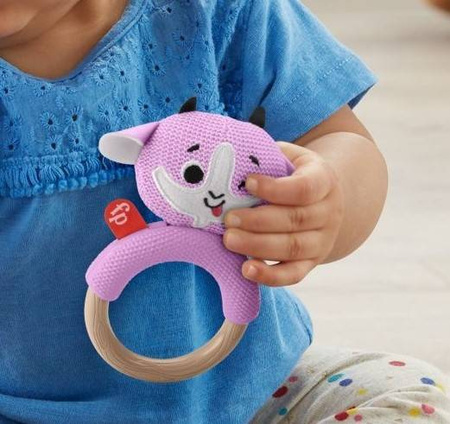 Fisher Price Gryzaczek z Plecionka GRR03 Różowy