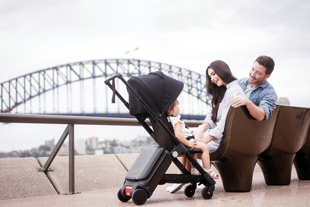 TernX Wózek Podróżny i Walizka Podróżna 2w1 - Czarny