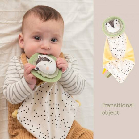 Taf Toys Zestaw Prezentowy Dla Noworodka 12-elementowy