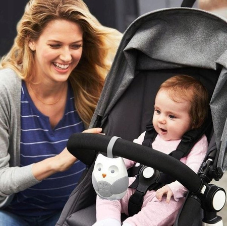 Pozytywka Skip Hop Podróżna Sowa